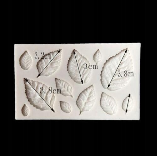 2481be7e4de3a622acca0eb3e003