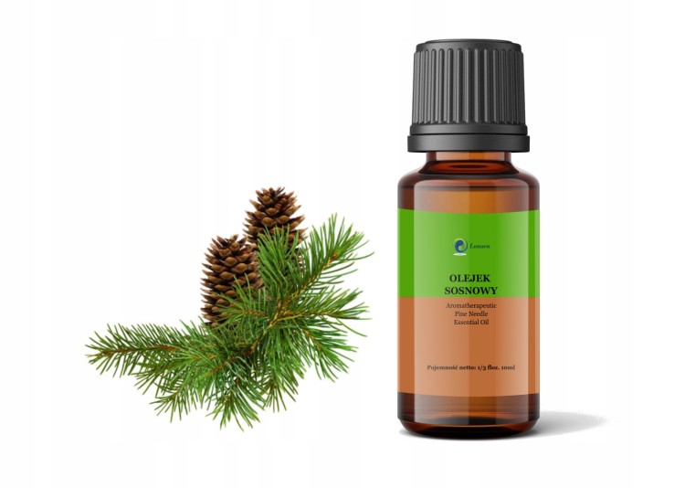 b1bea95c4f8899bf5fdb4e752243