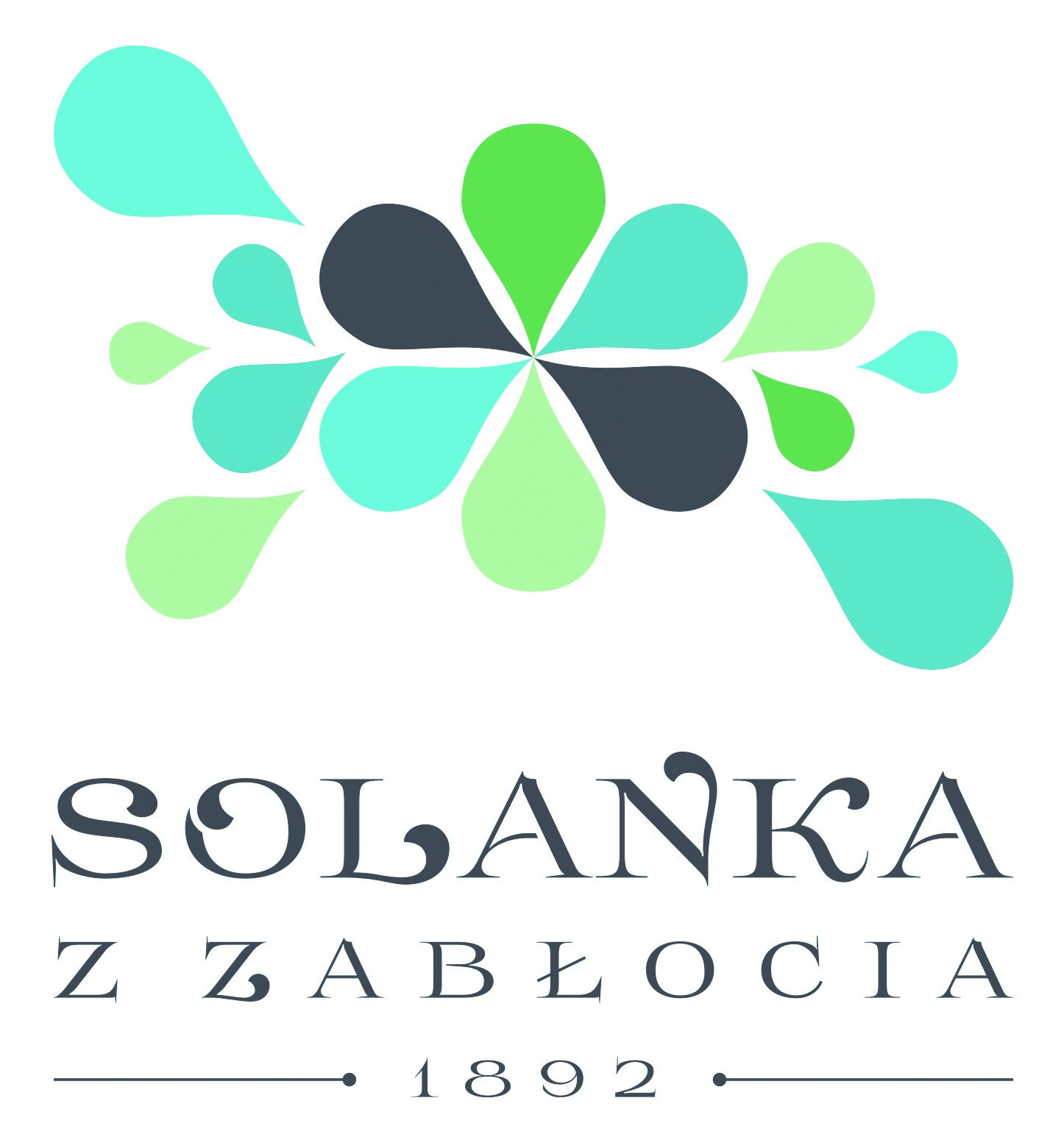 Producent: Solanka z Zabłocia Spółka z o.o. (przejdź do produktów)